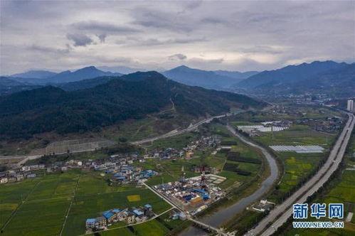 重庆新冠源头爆料最新,揭秘病毒起源之谜  第3张